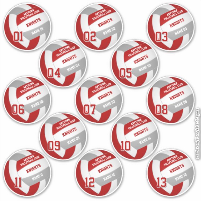 volleyball team members set of 13 red gray sticker (Front)