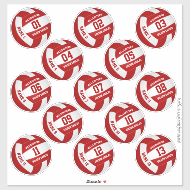 volleyball team party 13 team members custom sticker (Sheet)