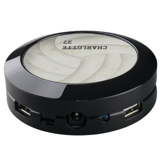 Volleyball USB Charging Station (Angled Back)