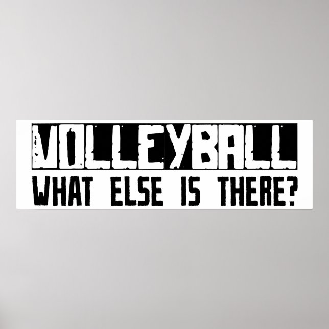 Volleyball What Else Is There? Poster (Front)