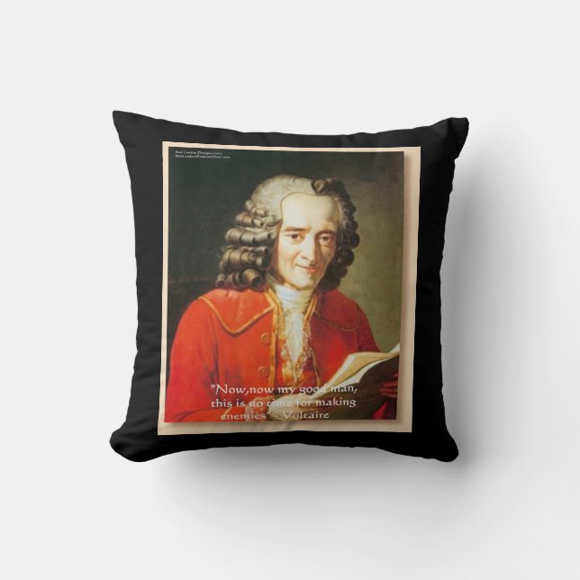 Voltaire "Making Enemies" Quote Rickshaw Throw Pil Throw Pillow (Front)