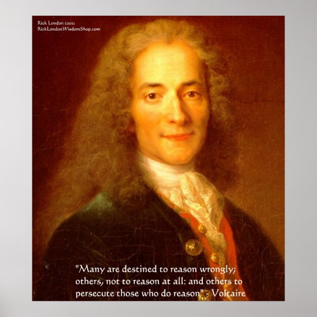 Voltaire Reason Quote Fine Art Posters (Front)