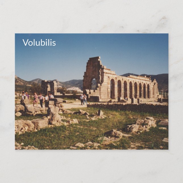 Volubilis - Morocco Postcard (Front)