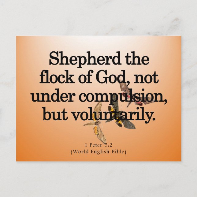 Voluntary Service 1 Peter 5-2 Postcard (Front)