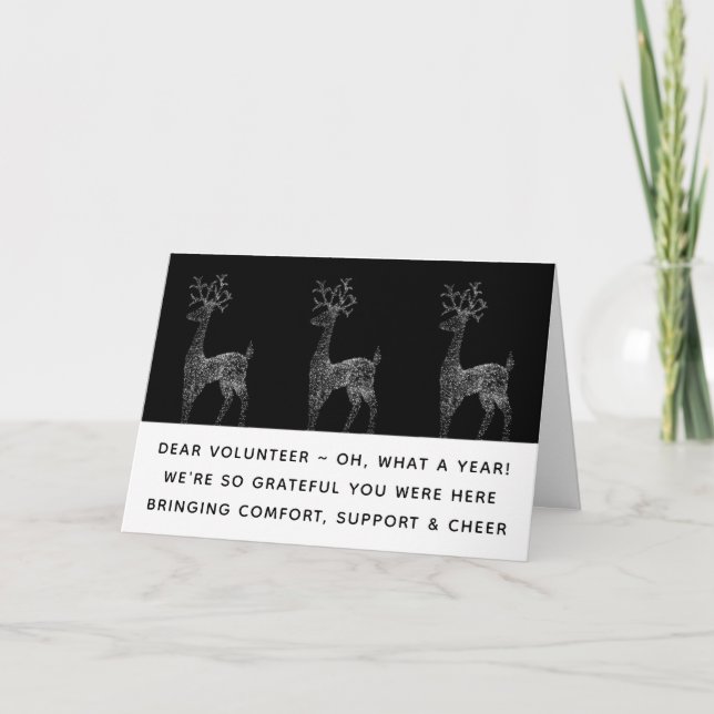 Volunteer Appreciation Christmas Holiday Cards (Front)