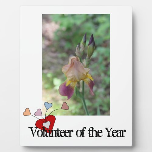 Volunteer of the Year Plaque