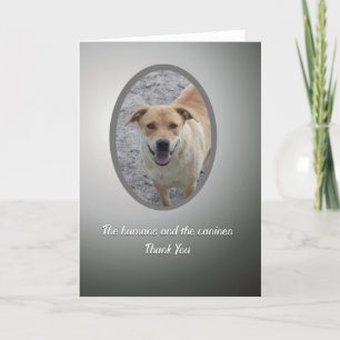 Volunteer Thank You, Dog Rescue Letterpress Thank You Card