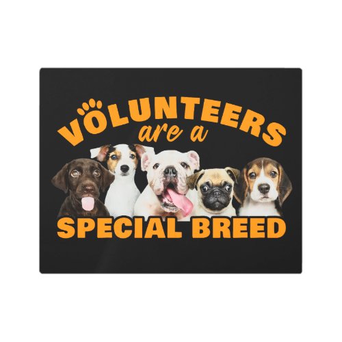 Volunteers Are a Special Breed Dog Rescue Shelter  Metal Print