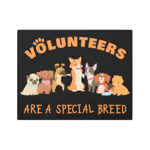 Volunteers Are a Special Breed Dog Rescue Shelter  Metal Print