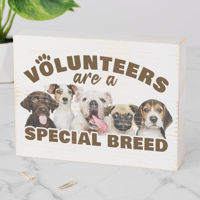 Volunteers Are a Special Breed Dog Rescue Shelter  Wooden Box Sign (In Situ Horizontal)