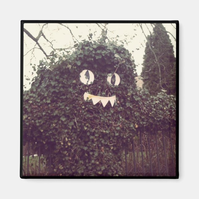 Voodoo Bush Magnet (Front)