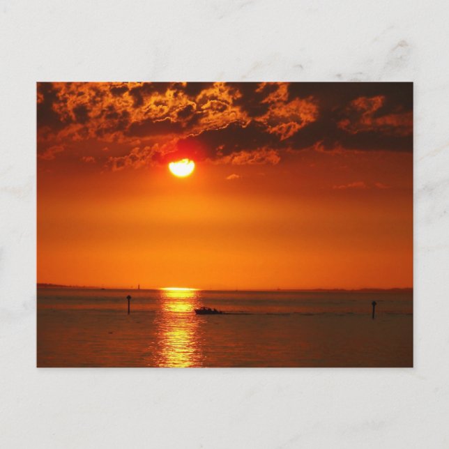 Vorarlberg Sunset at Lake Constance in Austria Postcard (Front)