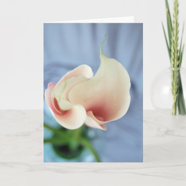 Vortex White Calla Lily Art Photo Note Cards (Front)
