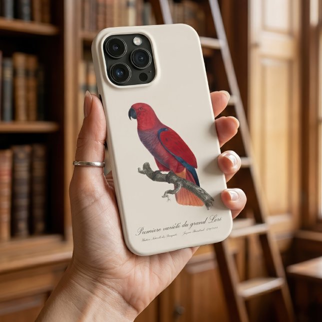 Vosmaer Eclectus Parrot, Eclectus Roratus Vosmaeri Case-Mate iPhone Case (Vosmaer Eclectus Parrot, Eclectus Roratus Vosmaeri. iPhone Case)