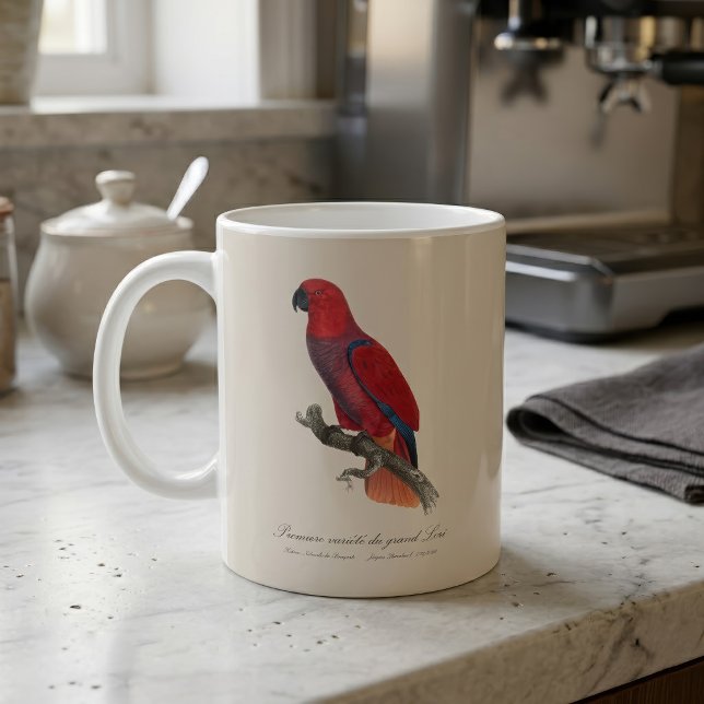 Vosmaer Eclectus Parrot, Eclectus Roratus Vosmaeri Coffee Mug (Vosmaer Eclectus Parrot, Eclectus Roratus Vosmaeri. Coffee Mug)