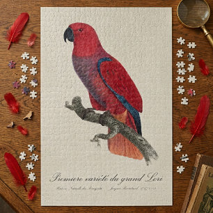 Vosmaer Eclectus Parrot, Eclectus Roratus Vosmaeri Jigsaw Puzzle