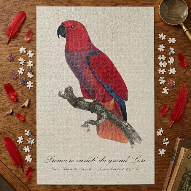 Vosmaer Eclectus Parrot, Eclectus Roratus Vosmaeri Jigsaw Puzzle (Vosmaer Eclectus Parrot, Eclectus Roratus Vosmaeri. Jigsaw Puzzle)
