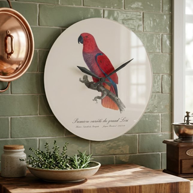 Vosmaer Eclectus Parrot, Eclectus Roratus Vosmaeri Large Clock (Vosmaer Eclectus Parrot, Eclectus Roratus Vosmaeri. Large Clock)