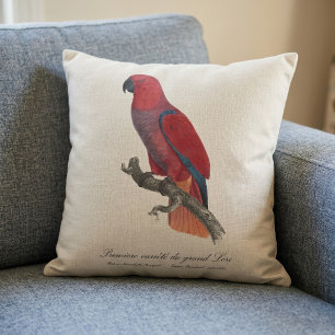 Vosmaer Eclectus Parrot, Eclectus Roratus Vosmaeri Throw Pillow
