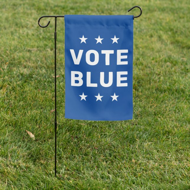 Vote Blue sign (In SItu)
