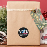 Vote Election 2024 Voter Democrat Politics