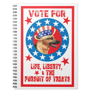 Vote for GSD Notebook