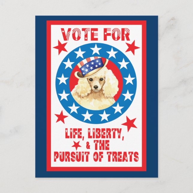 Vote for Miniature Poodle Postcard (Front)