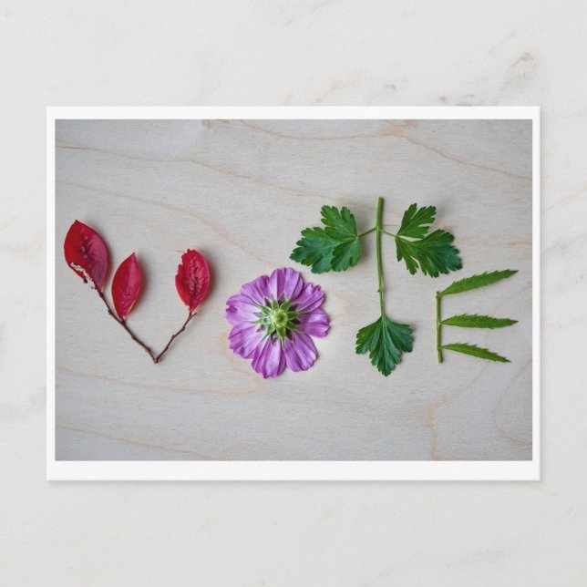 Vote Postcard (Front)