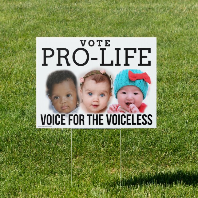 Vote Pro-Life Voice for the Voiceless Yard Sign (Insitu)