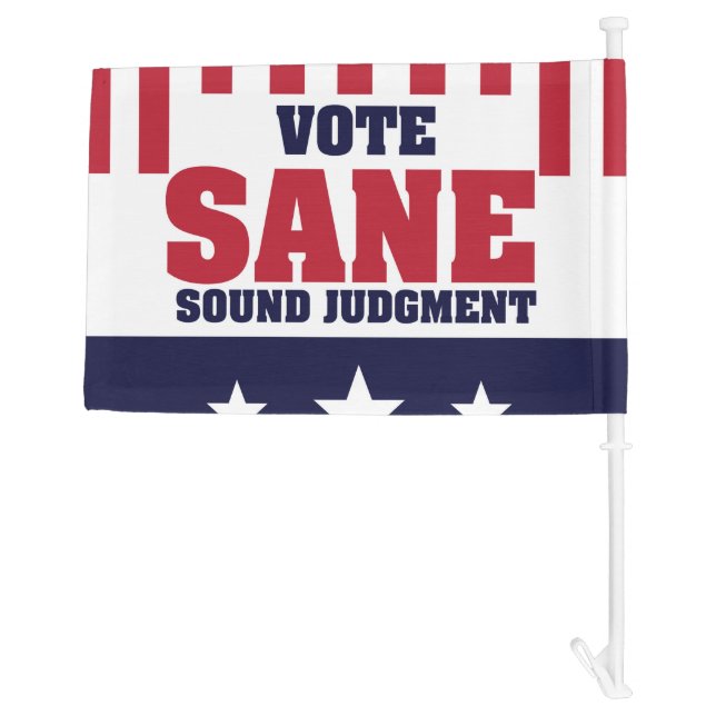 Vote Sane Sound Judgment Car Flag (Back)