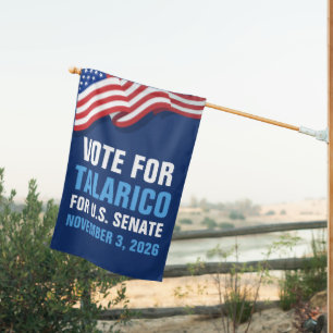 Vote Talarico for Senate 2026 American House Flag