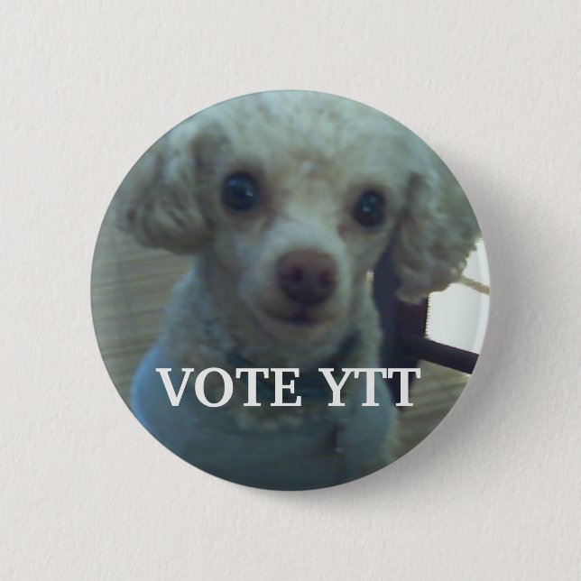 VOTE YTT PINBACK BUTTON (Front)