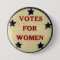 Votes for Women Historic Star Suffrage Pin
