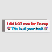 Voting car magnet