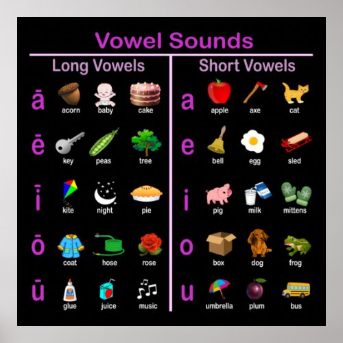 Vowel Sounds Poster