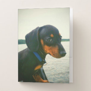 Voyage Side Eye Pomme De Terre Lake Pocket Folder