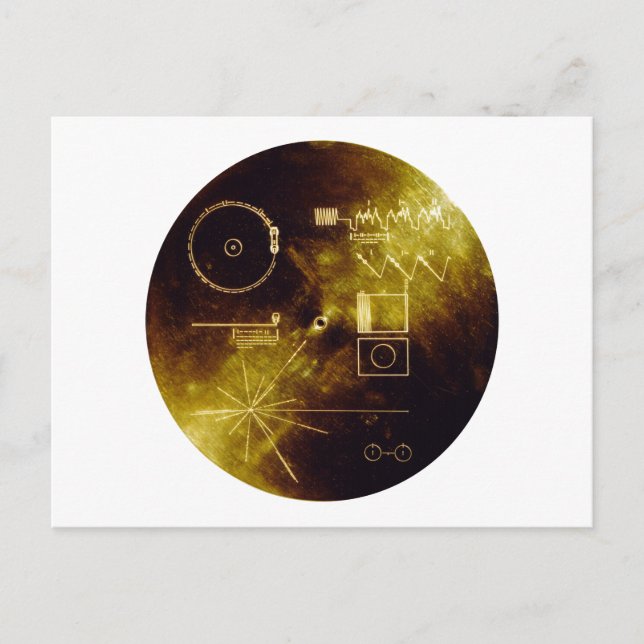 Voyager 1 + 2 Sounds of Earth Record Gold Cover  Postcard (Front)