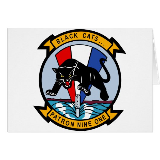 VP-91 Black Cats Cards (Front Horizontal)