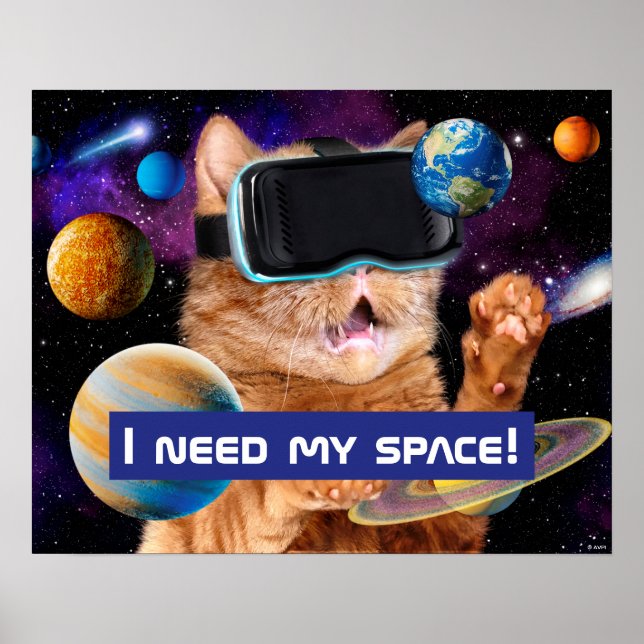 VR Cat In Space Poster (Front)