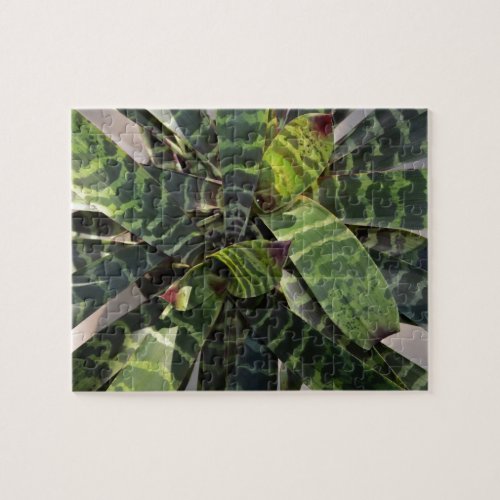 Vriesea Splendens Bromeliad Plant Striped Leaves Jigsaw Puzzle