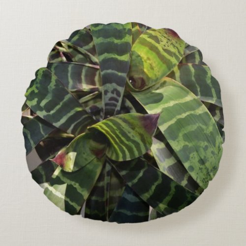 Vriesea Splendens Bromeliad Plant Striped Leaves Round Pillow