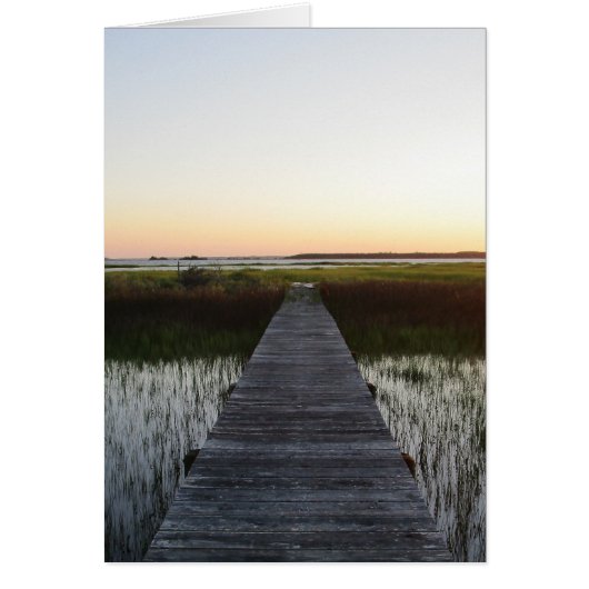 Vulnerable Path II (Front)