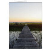 Vulnerable Path II (Front)