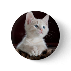 Vulnerable White Kitten Button