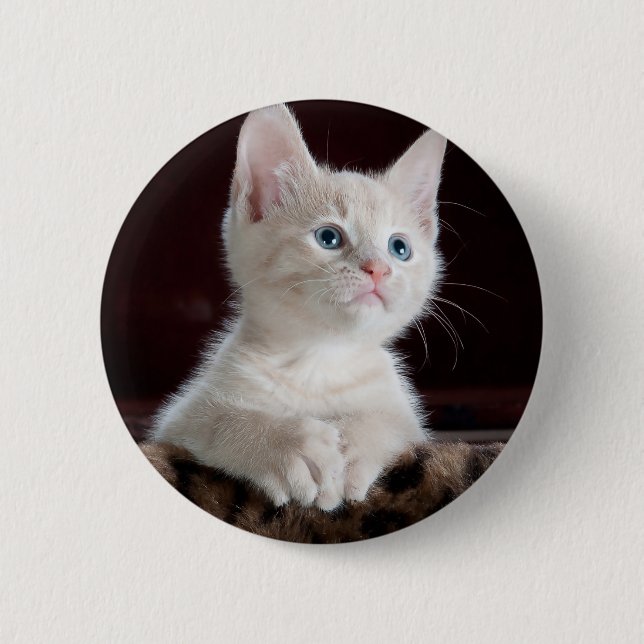 Vulnerable White Kitten Button (Front)