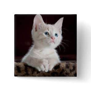 Vulnerable White Kitten Button