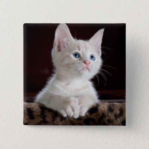 Vulnerable White Kitten Button