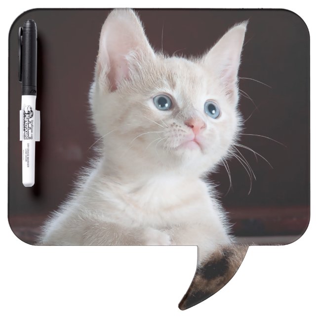 Vulnerable White Kitten Dry Erase Board (Front)