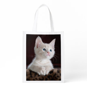 Vulnerable White Kitten Grocery Bag