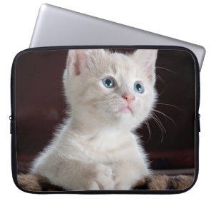 Vulnerable White Kitten Laptop Sleeve